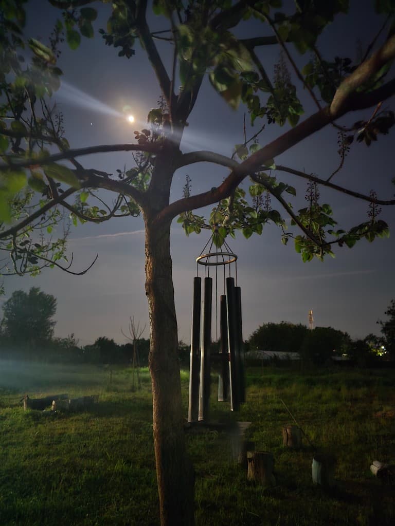 Holos retreat — cerc în natură